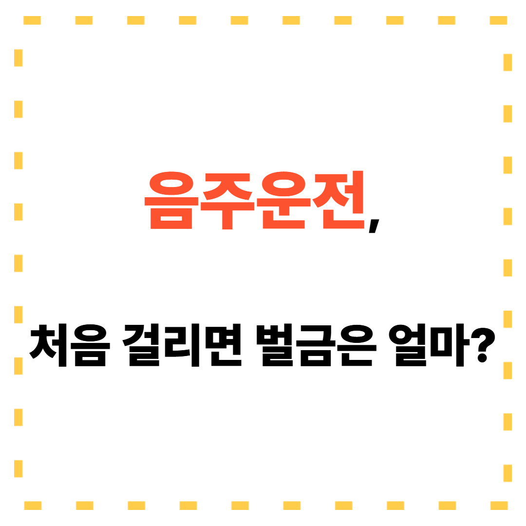 음주운전 초범