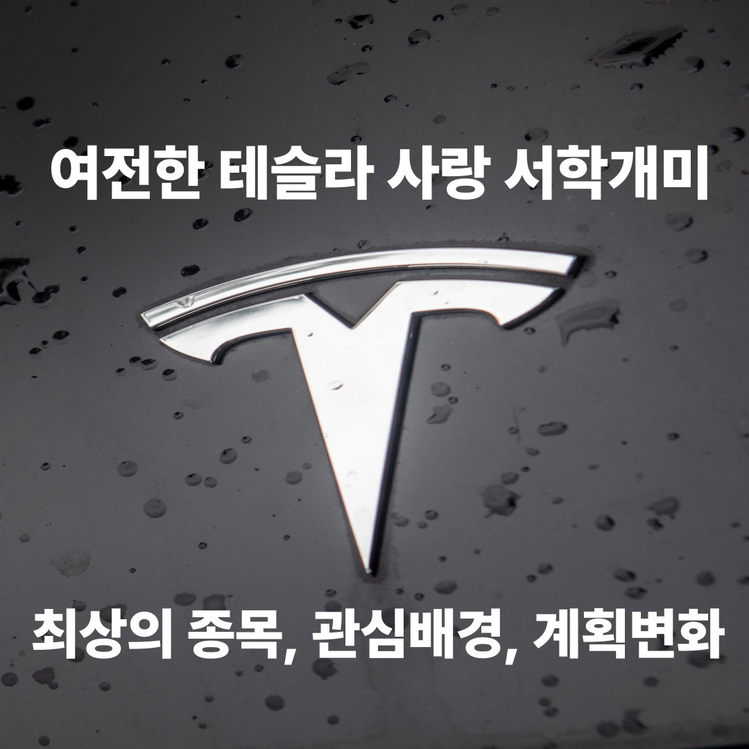 여전한 테슬라 사랑 서학개미