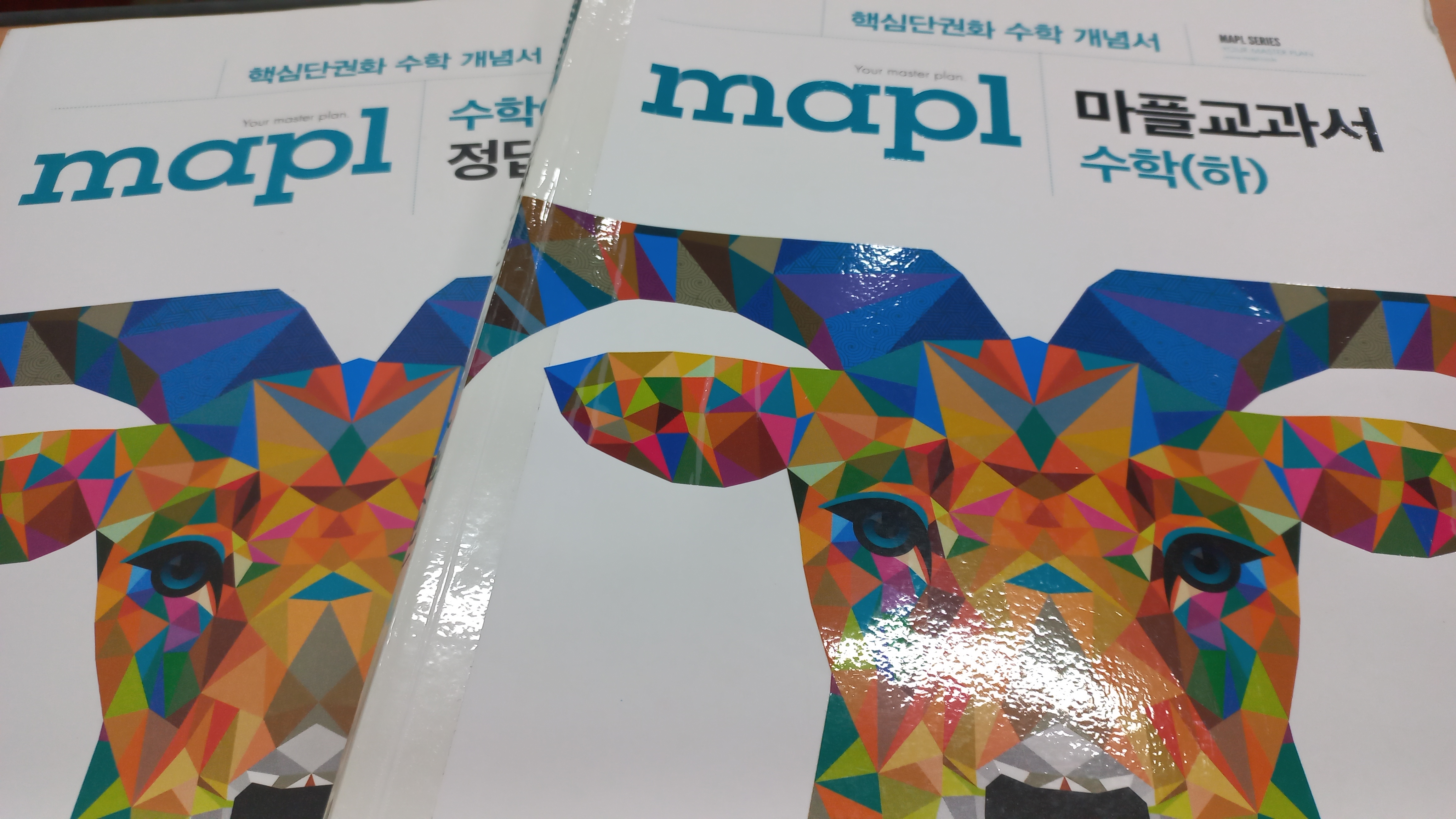 마플교과서 1