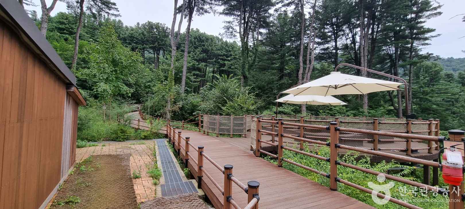 가평 잣향기푸른숲