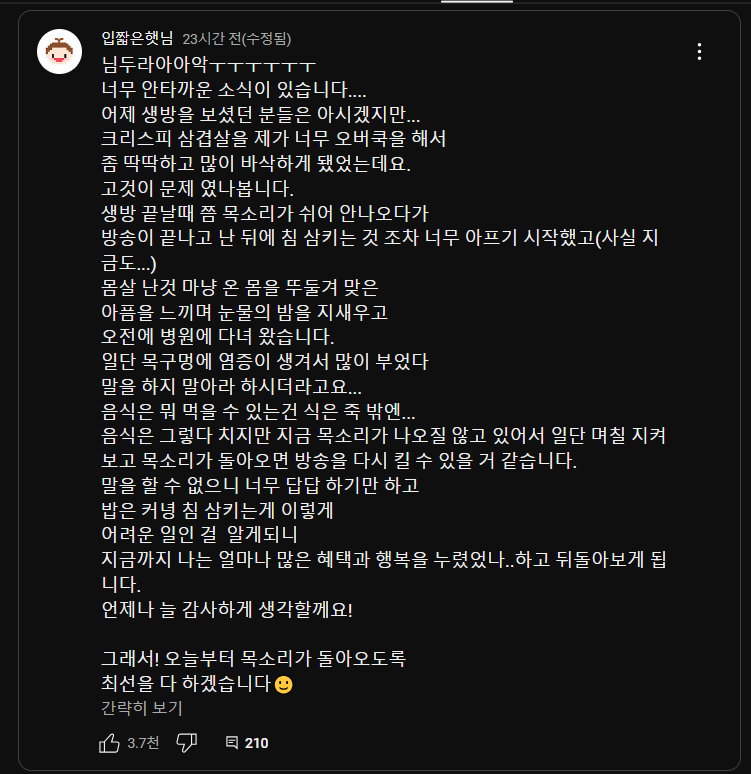 입짧은햇님 부상 먹방 나이 프로필