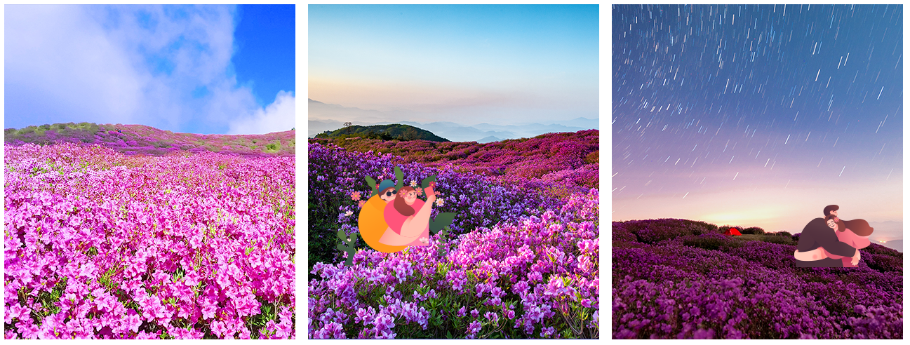 황매산 철쭉 모습