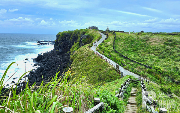 4월 봄 제주 가볼만한곳 명소 TOP 05 데이트 주말 나들이 추천