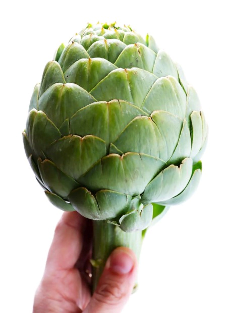 아티초크 효능 7가지