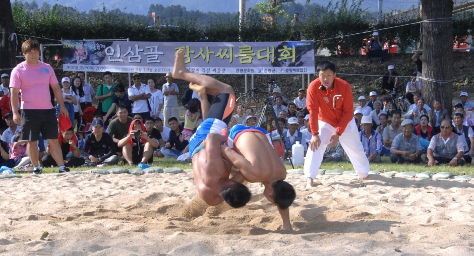 증평 인삼골 축제