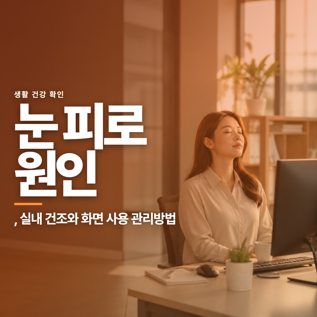 눈 피로 원인 · , 실내 건조와 화면 사용 관리방법