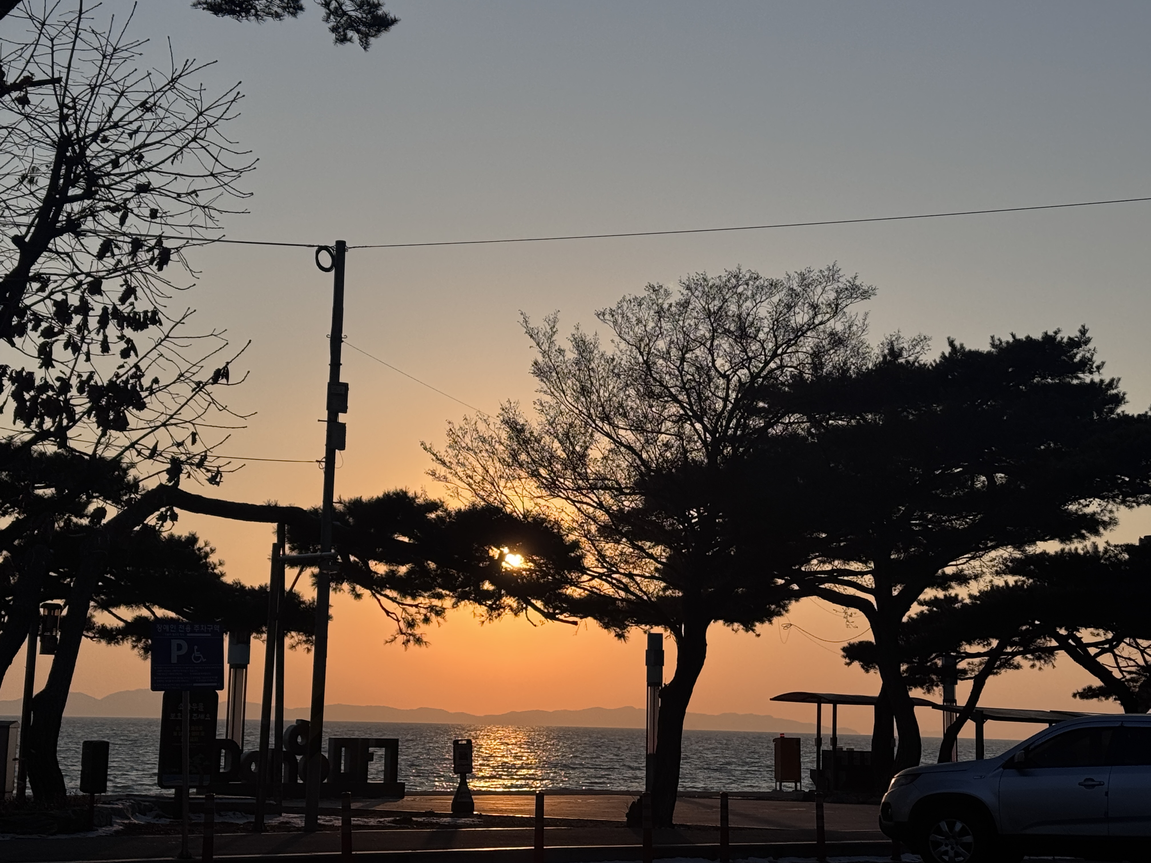 강화도 동막해변 해 질 무렵 노을과 나무 실루엣, 서해 바다 일몰 풍경