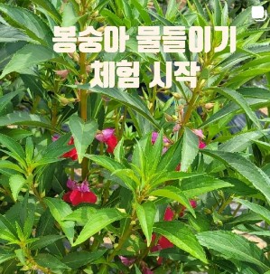 주말 아이랑 가기 좋은 곳 추천 - 치유농장 뒤란