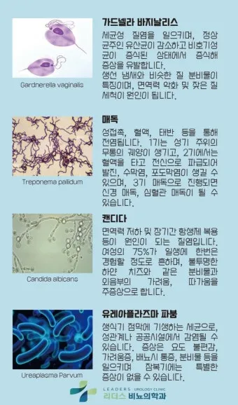 std 12종 검사 완벽 총정리종류 비용 등으로 검사항목_23