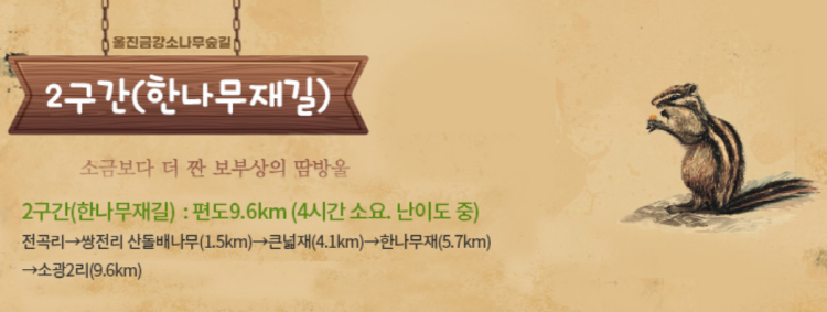 울진 금강송 소나무숲길