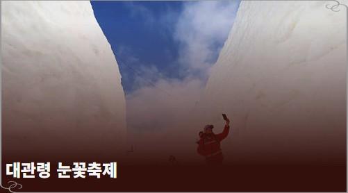 아이와 평창 여행! 대관령 눈꽃축제 입장료부터 양떼목장 연계 코스 총정리