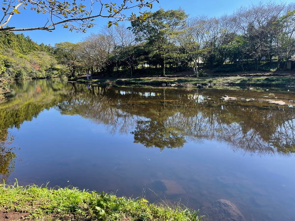 제주도 숨은명소 천미천