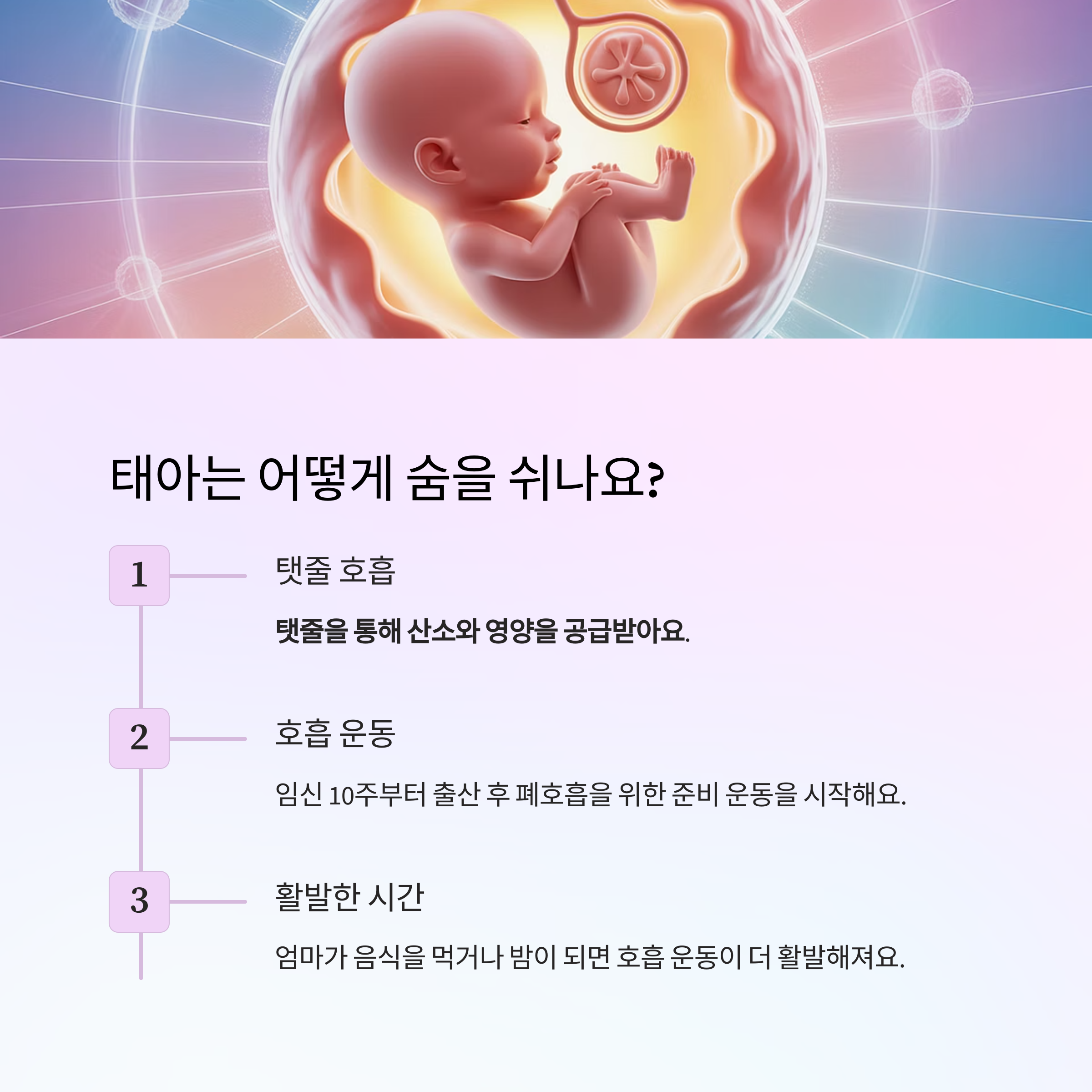 태아의 호흡 방식과 탯줄을 통한 산소 공급 과정 소개