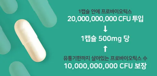 프로바이오틱스-추천