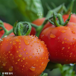 토마토