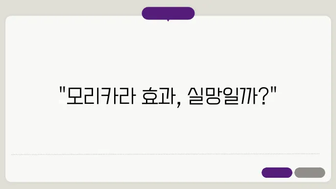 모리카라 모발 효과와 내돈내산 리뷰 후기
