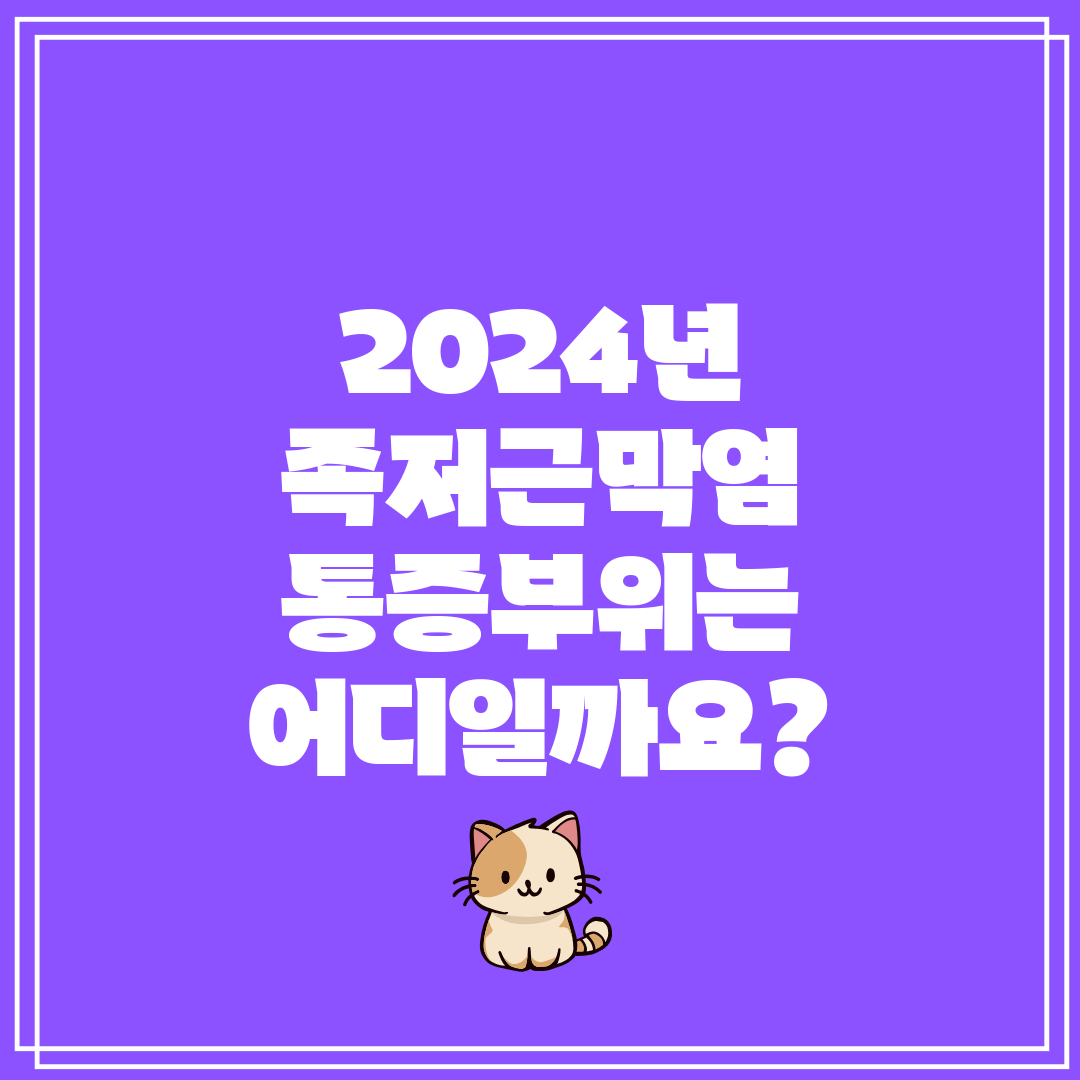 2024년 족저근막염 통증부위는 어디일까요
