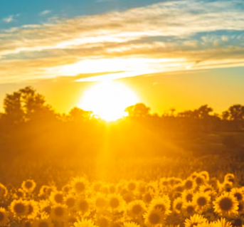 백내장 초기증상 발병원인 관리 방법