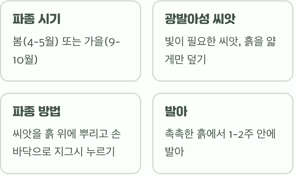 씨앗의 첫 숨결&amp;#44; 파종의 비밀