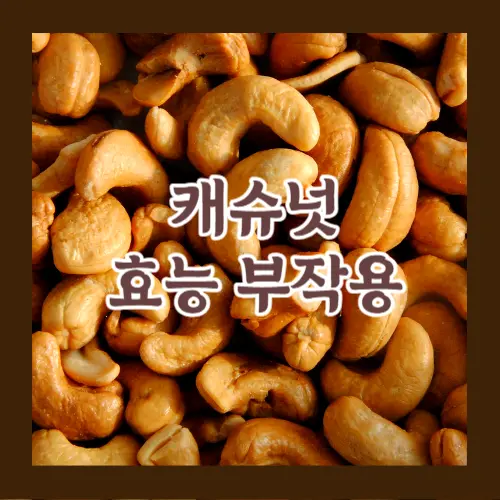 캐슈넛효능부작용