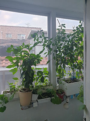 베란다 입구 사진