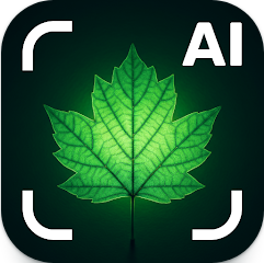 식물 이름 찾기 어플 설치, 식물 찾기