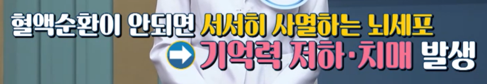 구기자 효능