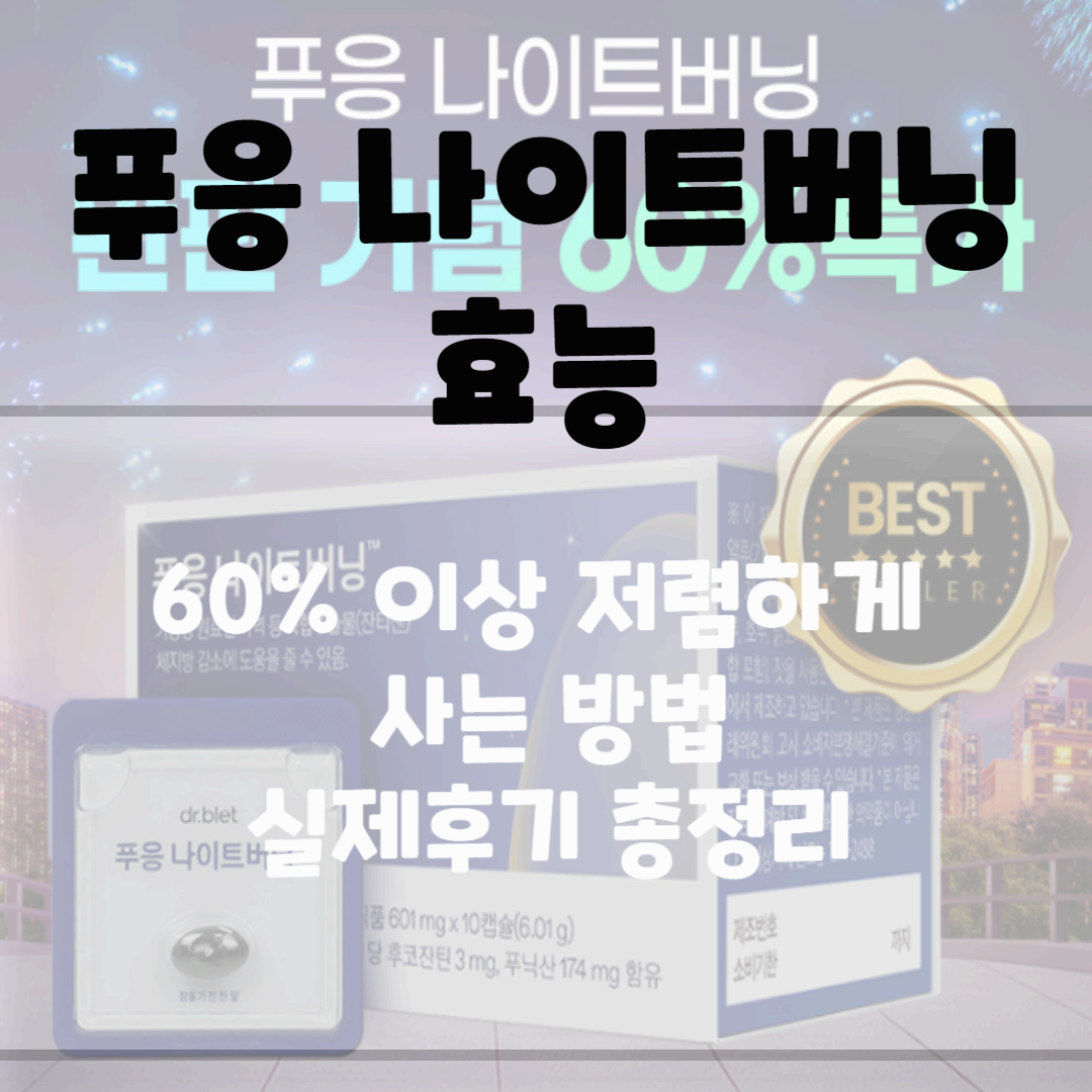 푸응 나이트버닝 후기 효능 가격 총정리 블로그 썸네일 사진