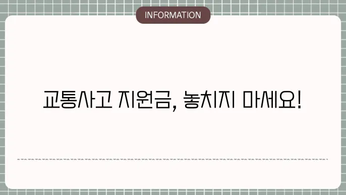 교통사사운전자보험 기준