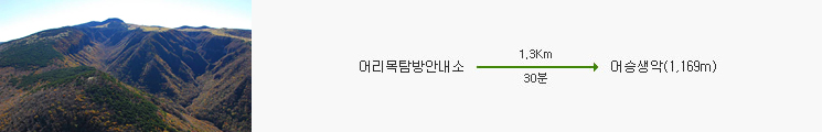 한라산탐방로예약시스템 _어승생악탐방로