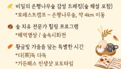 에버랜드은행나무-사진3
