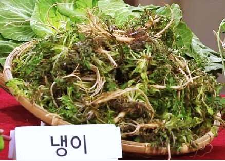 6시내고향 충남 홍성 냉이 파는 곳 전국 택배 온라인 전화 주문 추천