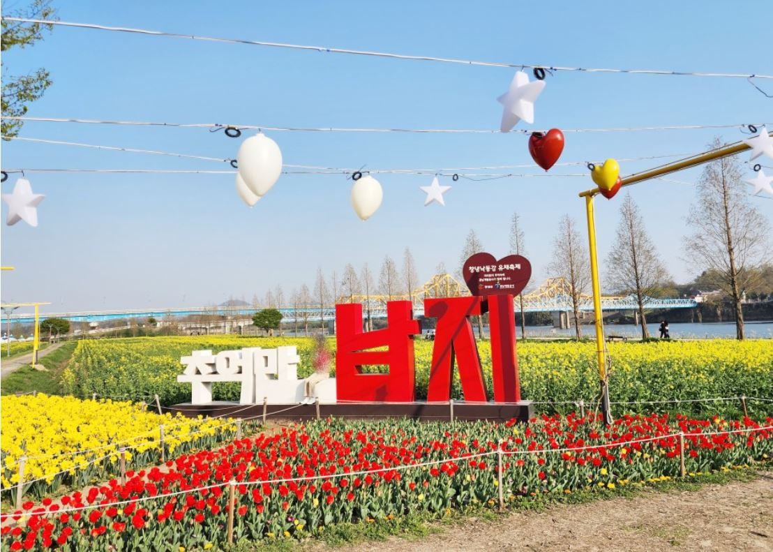 창녕 유채꽃축제.낙동강 유채축제_2023년.행사안내