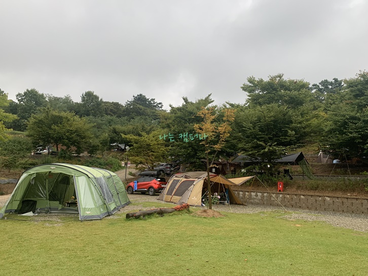 고래숲 캠핑장-D사이트 (왼쪽)