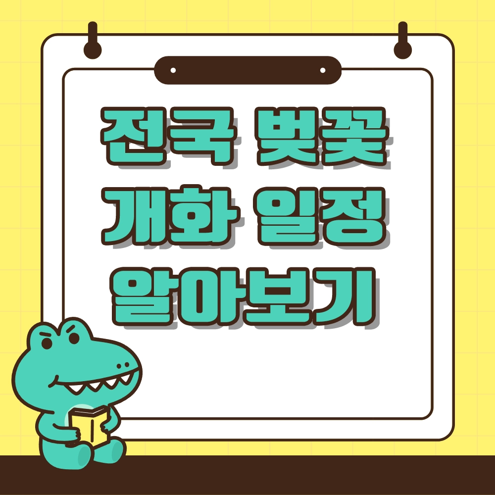 25년 벚꽃 개화시기