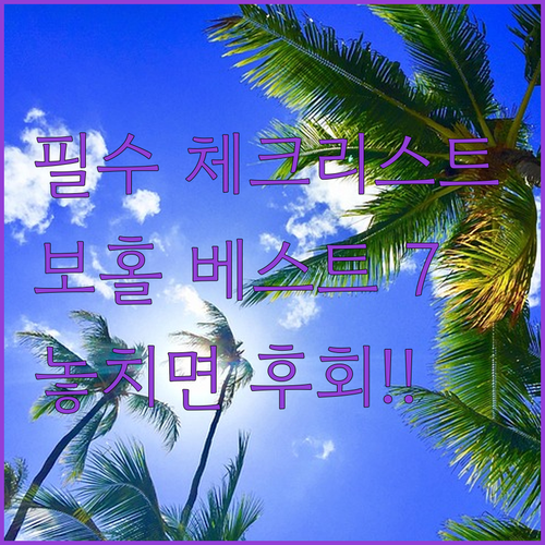 필리핀 보홀 호텔 리조트 추천 타그빌..