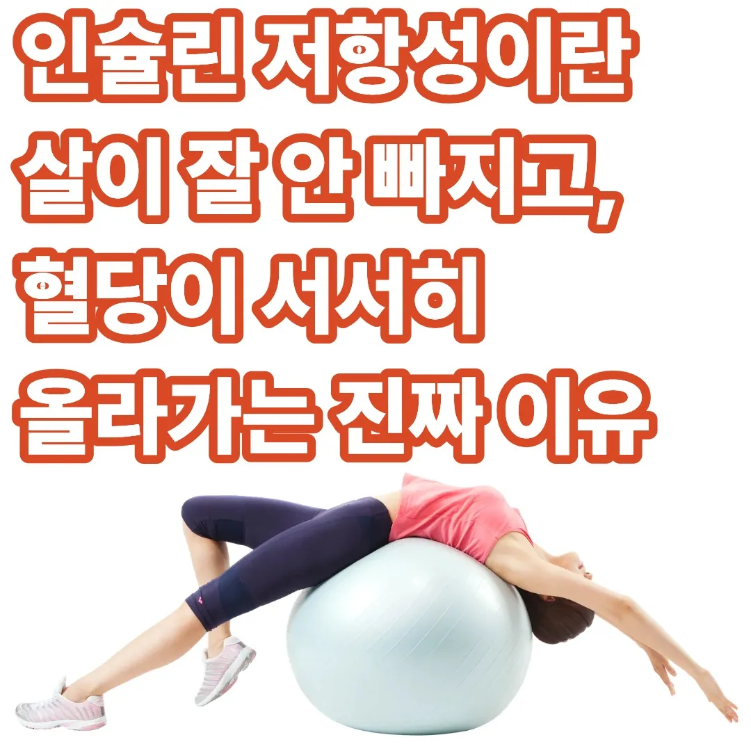 인슐린 저항성이란 살이 잘 안 빠지고, 혈당이 서서히 올라가는 진짜 이유