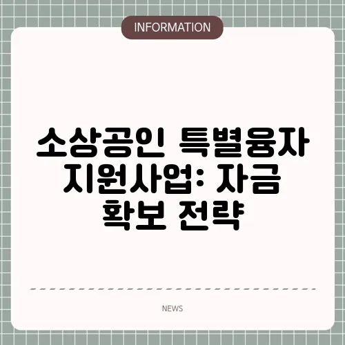 소상공인 특별융자 지원사업: 자금 확보 전략