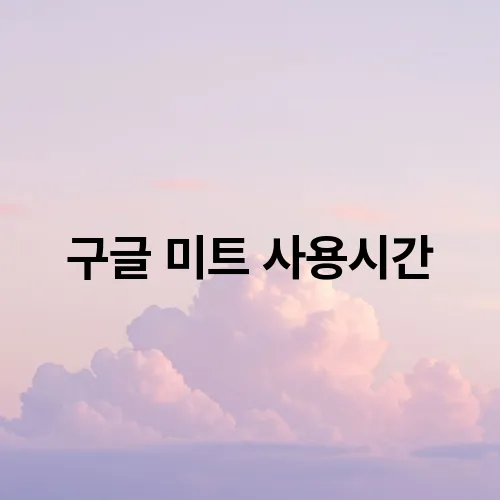 구글 미트 사용시간