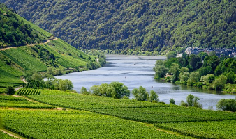 2024-대한민국-숙박세일-페스타-쿠폰-발급