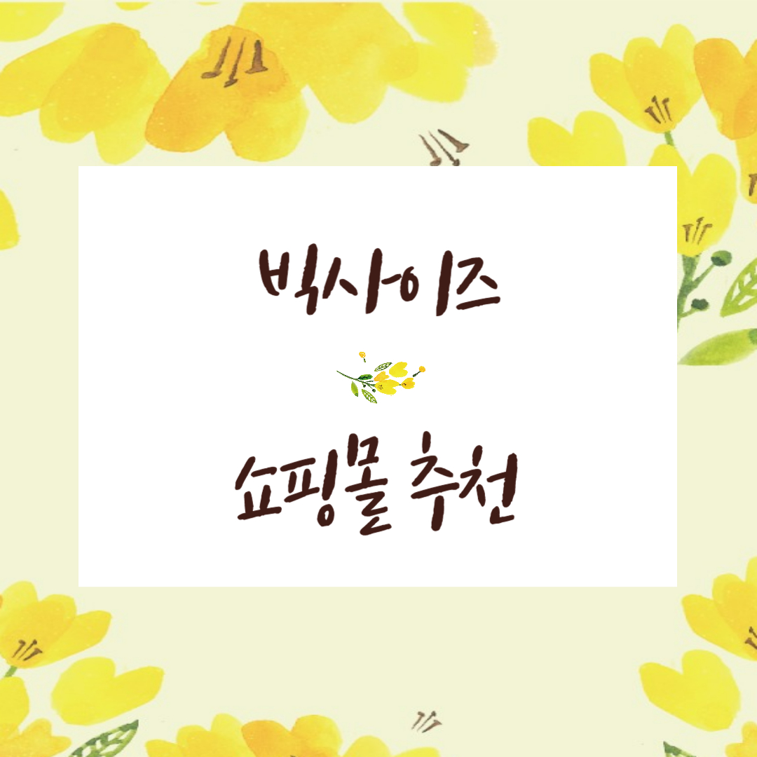 빅사이즈 여성쇼핑몰 추천