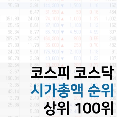 코스피-코스닥-시가총액-상위-100위