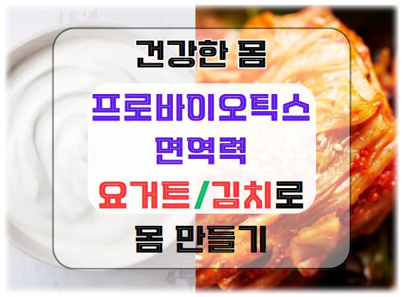 프로바이오틱스와 면역력: 요거트와 김치로 건강한 몸 만들기