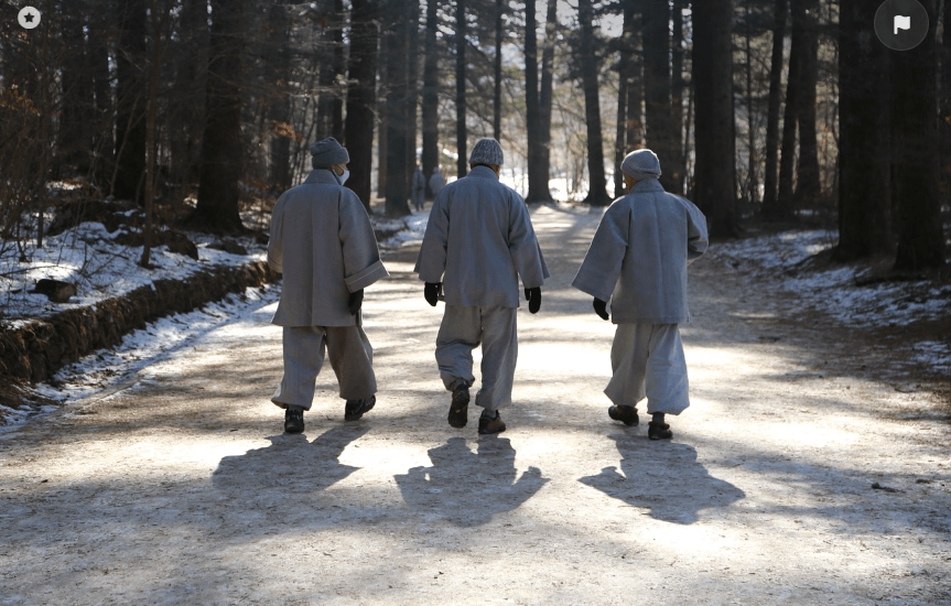 오대산 전나무숲길