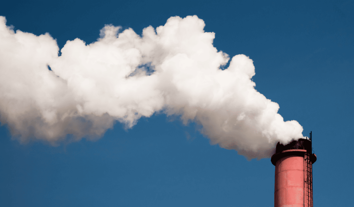 지적도_인터넷_무료검색_15