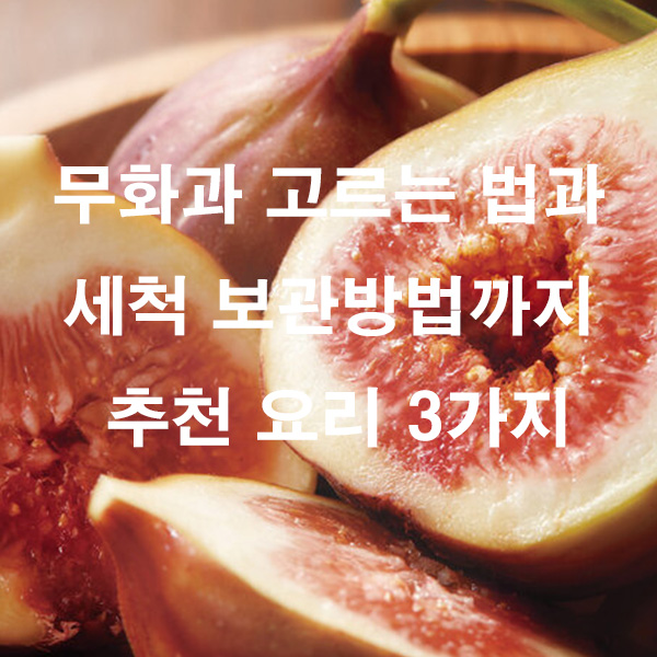 무화과 고르는 법과 세척 보관방법까지 추천 요리 3가지