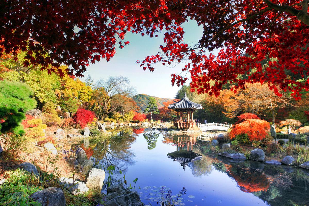 아침고요수목원 단풍