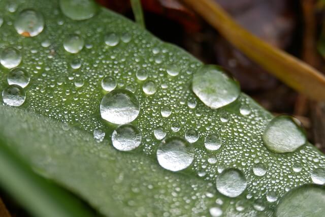 자연 요법으로 두통 &amp; 편두통 완화하는 방법