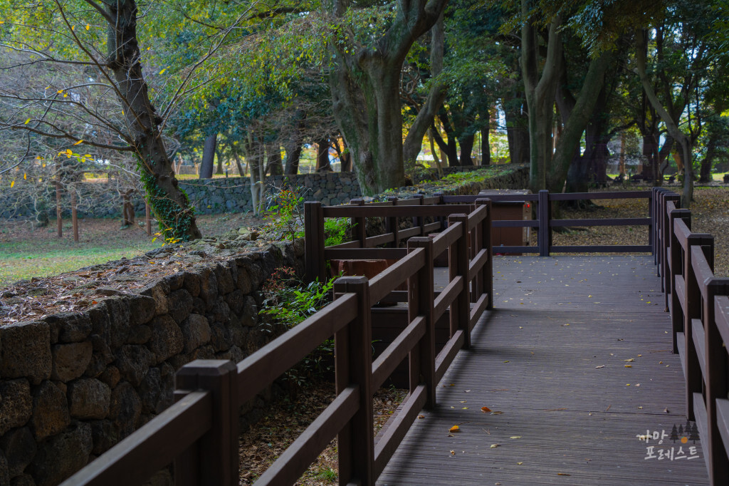 제주 삼성혈 옆길