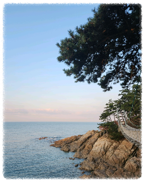 천리포 해수욕장